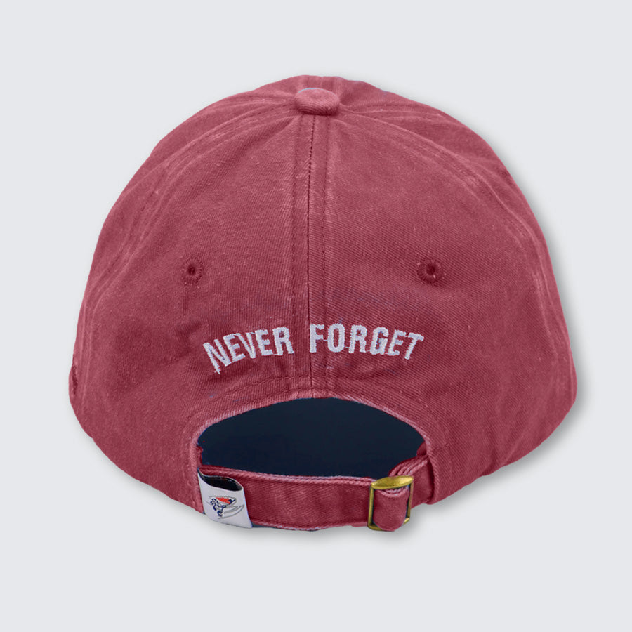 T2T 25th Anniversary Twill Hat (Pigment Dyed Red) NEW!